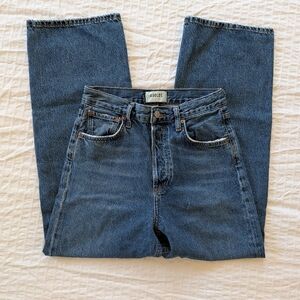 Agolde Ren Wide Leg Jean